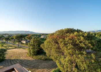 Trilocale Cisterna di Latina - foto 35