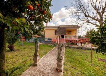 Villa Aprilia - photo 8