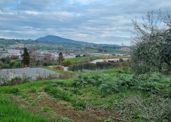 Terreno edificabile Ancona - foto 2