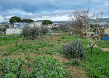Terreno edificabile Ancona - foto 10