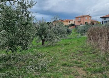 Terreno edificabile Ancona - foto 11