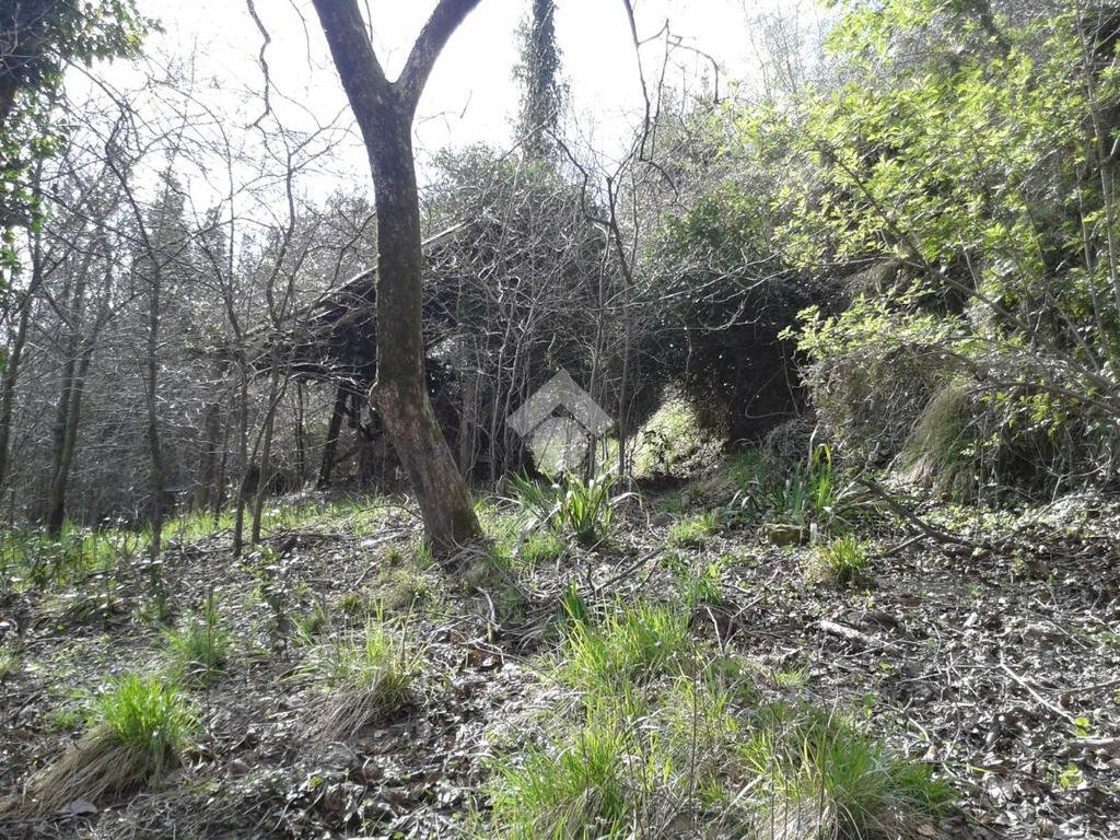 Casa indipendente Via prato quartino, Sant'Olcese - foto 2