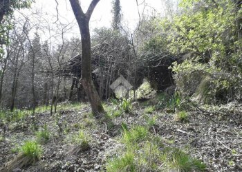 Casa indipendente Via prato quartino, Sant'Olcese - foto 6