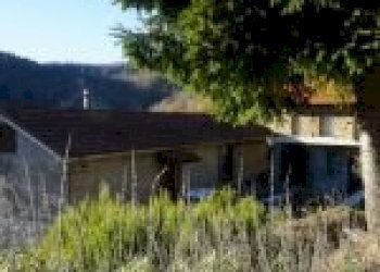 Agricultural land Cortemilia - photo 4