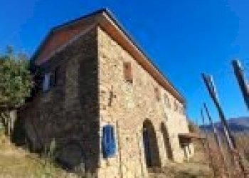 Agricultural land Cortemilia - photo 15