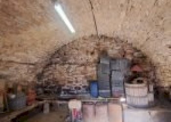 Agricultural land Cortemilia - photo 24