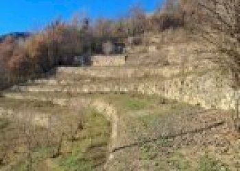 Agricultural land Cortemilia - photo 28