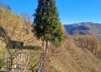 Agricultural land Cortemilia - photo 29