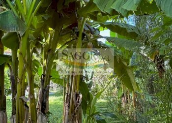 Villa Luserna San Giovanni - photo 23