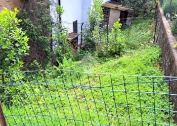 Casa semi indipendente Regione Case Vercellino, Netro - foto 14