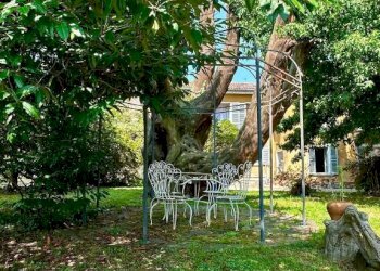 Giardino - Rustico via Roma, 57, Mercallo - foto 25