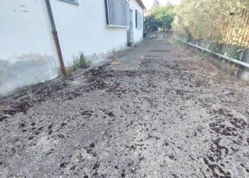 Zona - Capannone via dei Colli, Signa - foto 20