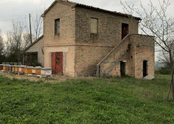 img_7007 - Casa Colonica Agugliano - foto 4