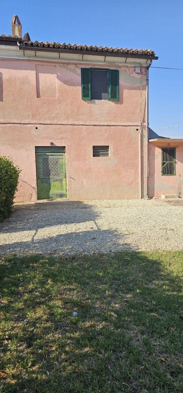 20240829_165600.jpg - Independent house Via Vallettone snc, Jesi - photo 3