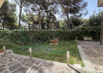 photo_5980941946698450082_y.jpg - Loft Via Gaspare Gozzi, Rosignano Marittimo - foto 3