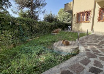 photo_5980941946698450083_y.jpg - Loft Via Gaspare Gozzi, Rosignano Marittimo - foto 4