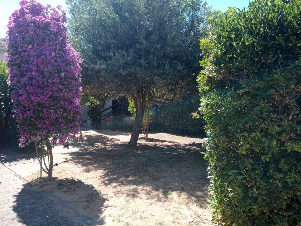 FOTO GIARDINO 1.jpg - Villa VIA ROMA  26, Olmedo - foto 1