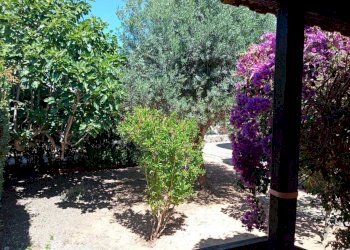 FOTO GIARDINO 3.jpg - Villa VIA ROMA  26, Olmedo - foto 2