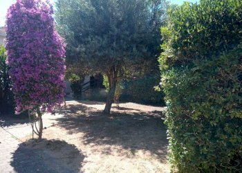 FOTO GIARDINO 1.jpg - Villa VIA ROMA  26, Olmedo - foto 1