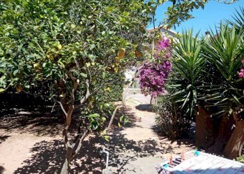 FOTO GIARDINO 2.jpg - Villa VIA ROMA  26, Olmedo - foto 11