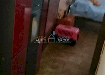 WhatsApp Image 2024-09-11 at 11.22.24 (1).jpeg - Bilocale Via Pietrasanta 65, Massa - foto 8