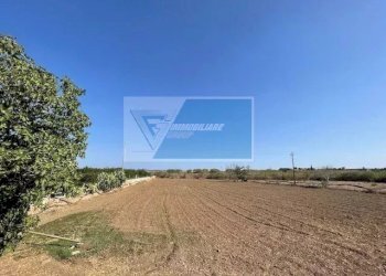 Terreno agricolo Contrada Cannarella, Canicattini Bagni - foto 13