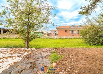 Casa indipendente Villafranca Piemonte - foto 18