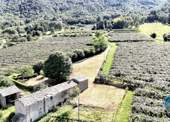 vista - Rustico VIA ANTICA TORRIANA, 21, Barge - foto 12