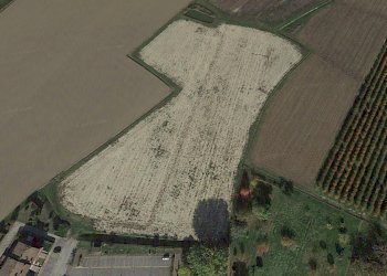 Terreno edificabile Masi Torello - foto 1