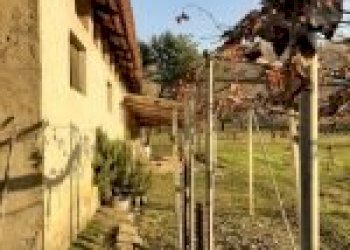 Agricultural land Canelli - photo 13