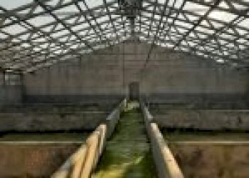 Agricultural land Canelli - photo 16