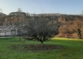 Agricultural land Canelli - photo 27