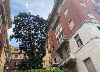 Shop Via Podgora, Milano - photo 3