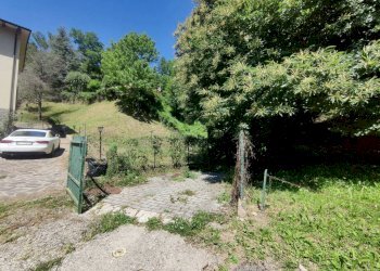 Terreno - Villa strada Provinciale della Futa, Loiano - foto 15