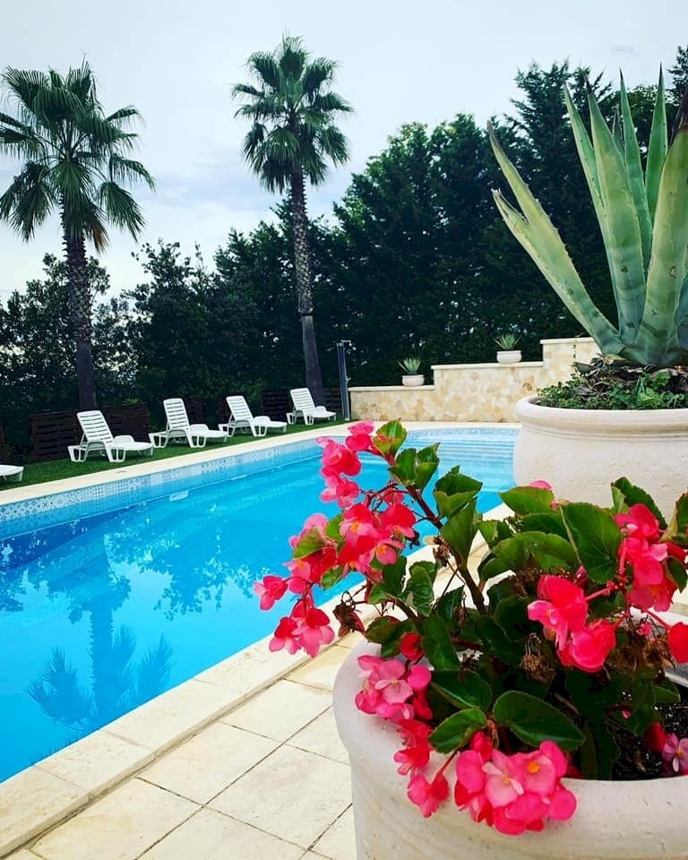 DILEOIMMOBILIARE VENDE VILLA CON PISCINA (7).jpg - Independent house Morro d'Oro - photo 2