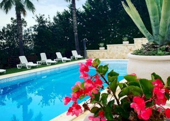 DILEOIMMOBILIARE VENDE VILLA CON PISCINA (7).jpg - Casa indipendente Morro d'Oro - foto 2