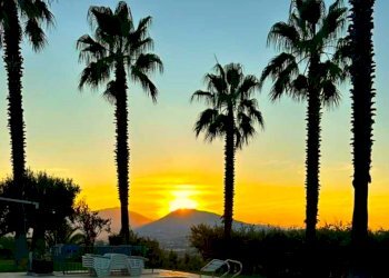 DILEOIMMOBILIARE VENDE VILLA CON PISCINA (10).jpeg - Casa indipendente Morro d'Oro - foto 29