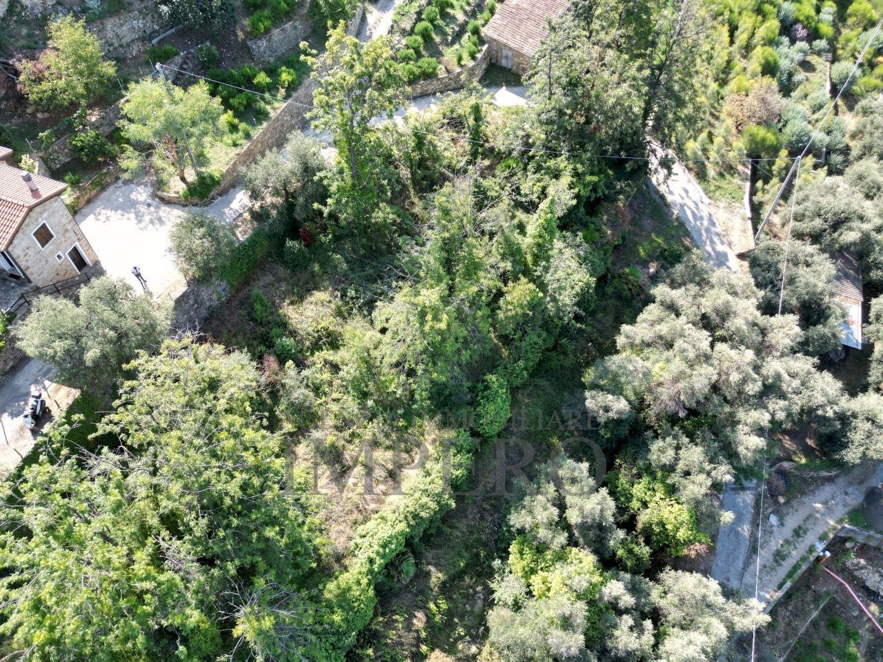 DJI_0140.JPG - Agricultural land Via Silvio Pellico 10, Bordighera - photo 2