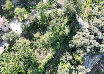 DJI_0140.JPG - Terreno agricolo Via Silvio Pellico 10, Bordighera - foto 2