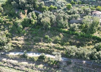 DJI_0142.JPG - Terreno agricolo Via Silvio Pellico 10, Bordighera - foto 8