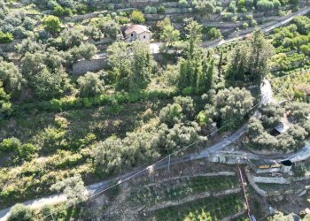 DJI_0146.JPG - Terreno agricolo Via Silvio Pellico 10, Bordighera - foto 10