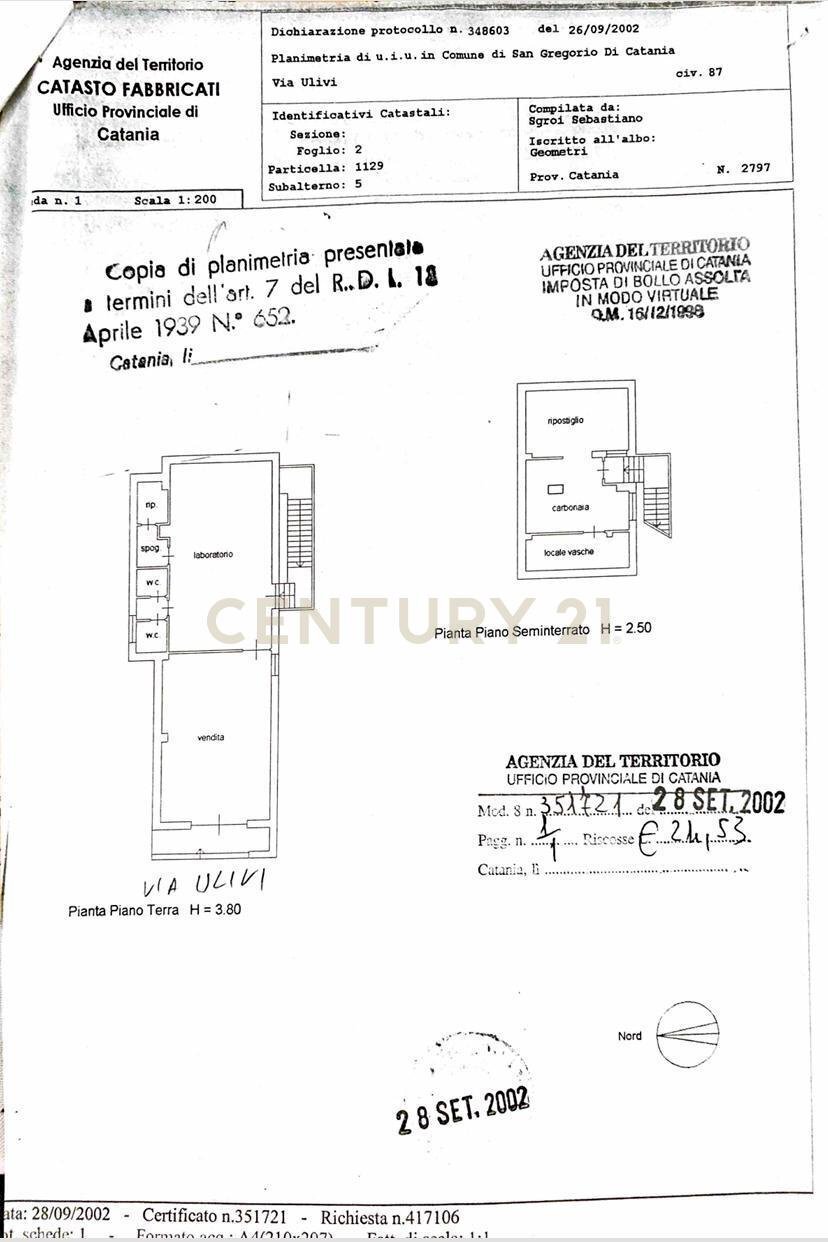 WhatsApp Image 2024-09-13 at 09.39.08.jpeg - Locale Commerciale Via Ulivi 87, San Gregorio di Catania - planimetria 1