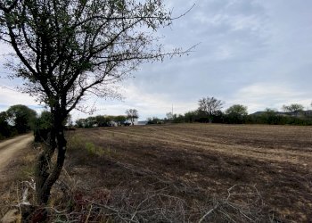 Villa Budoni - foto 6