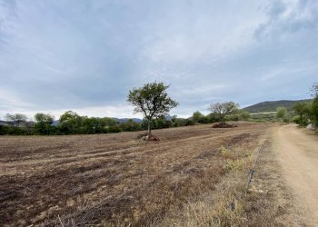 Villa Budoni - foto 8