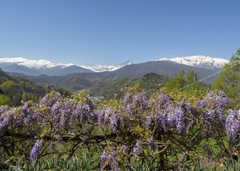 Baita Via Capoloira, 27, Barge - foto 21