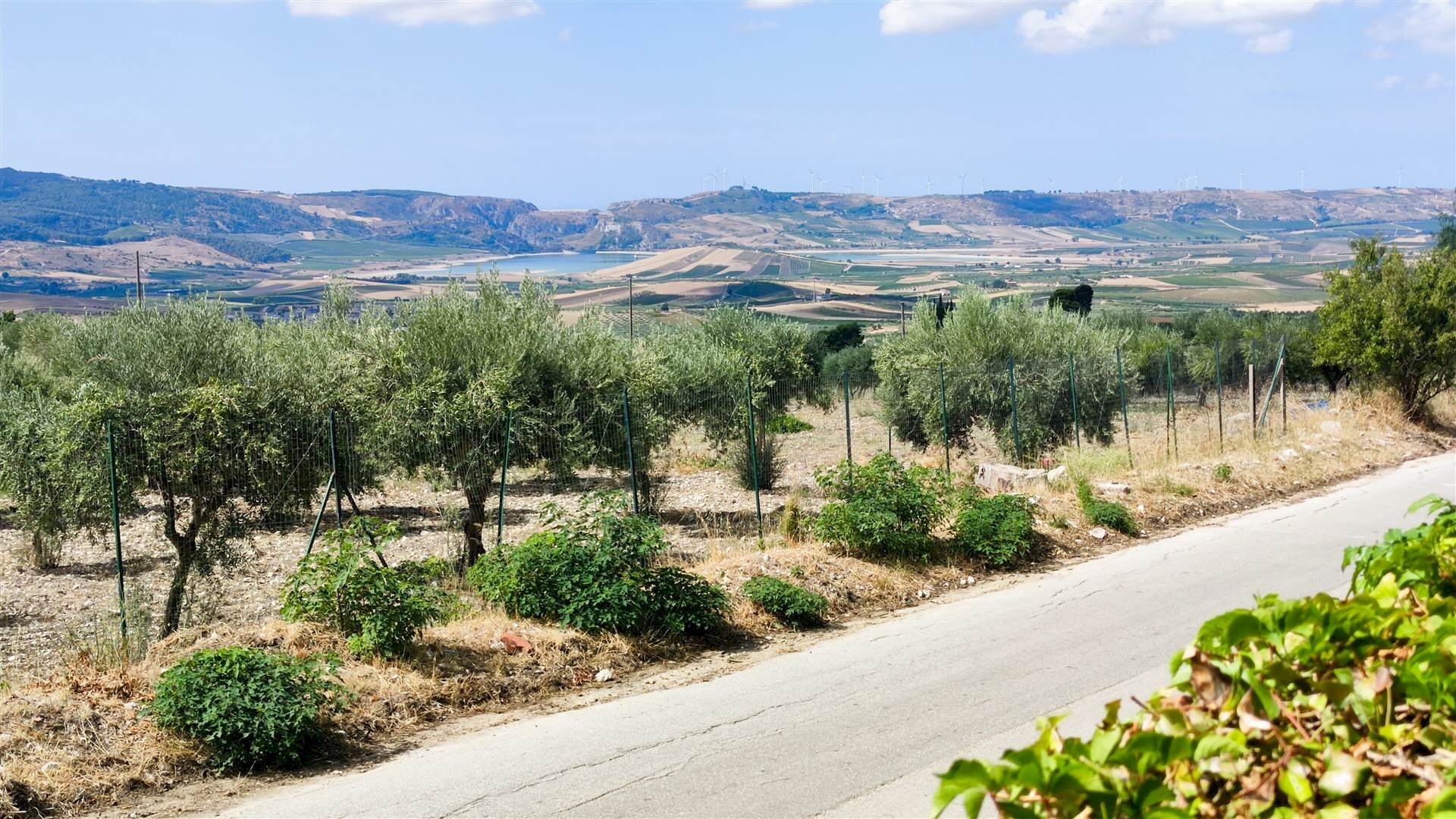 Casa indipendente C.da Serrone Mulè snc, Sambuca di Sicilia - foto 2