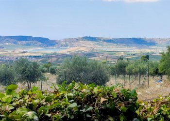 Casa indipendente C.da Serrone Mulè snc, Sambuca di Sicilia - foto 52