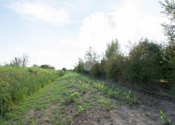 Casa indipendente via roosevelt, Carpi - foto 17