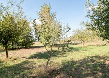 Casa indipendente via roosevelt, Carpi - foto 19