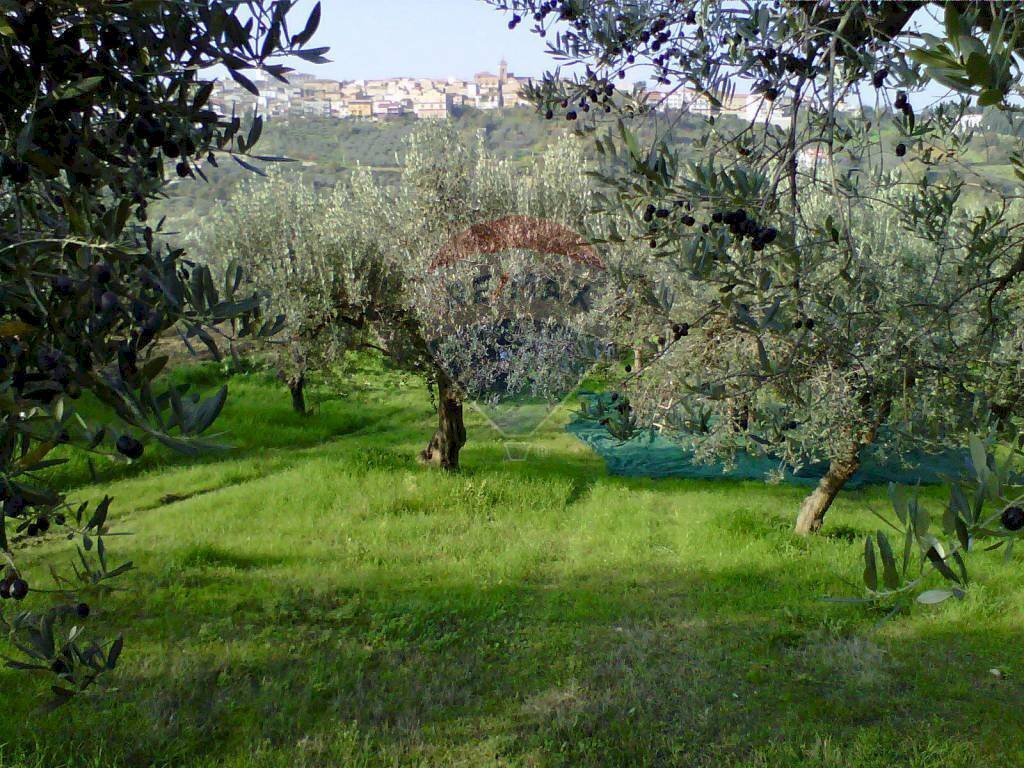 Terreno edificabile Monteodorisio - foto 3